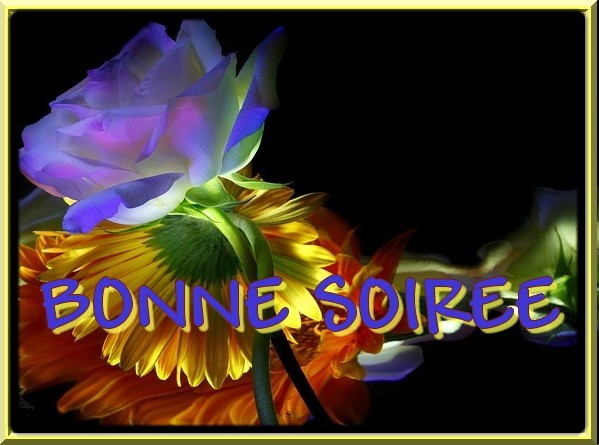 Bon Jeudi 63c8dd70-27a7c0d