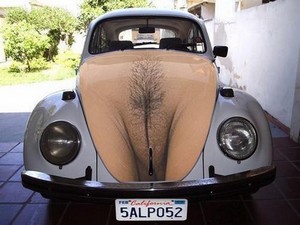 http://img50.xooimage.com/files/f/1/1/la_voiture-ri--m_001-22ce3a1.jpg
